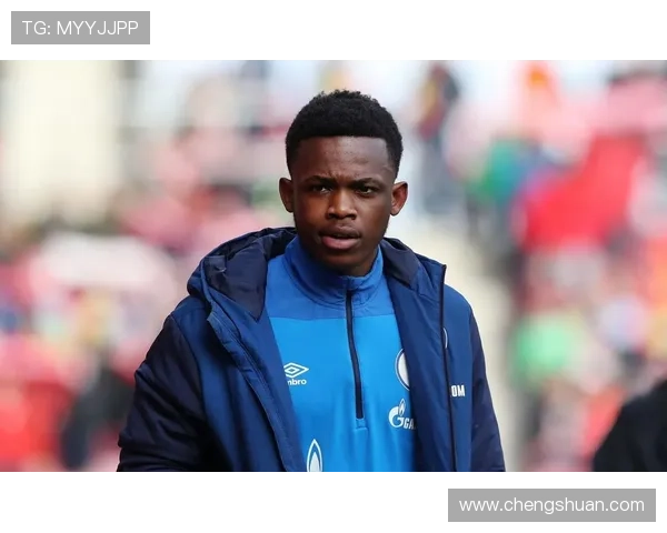 哲科抵德体检将正式加盟沙尔克